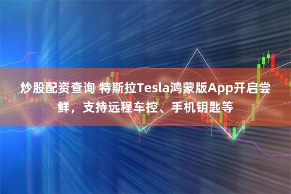炒股配资查询 特斯拉Tesla鸿蒙版App开启尝鲜，支持远程车控、手机钥匙等